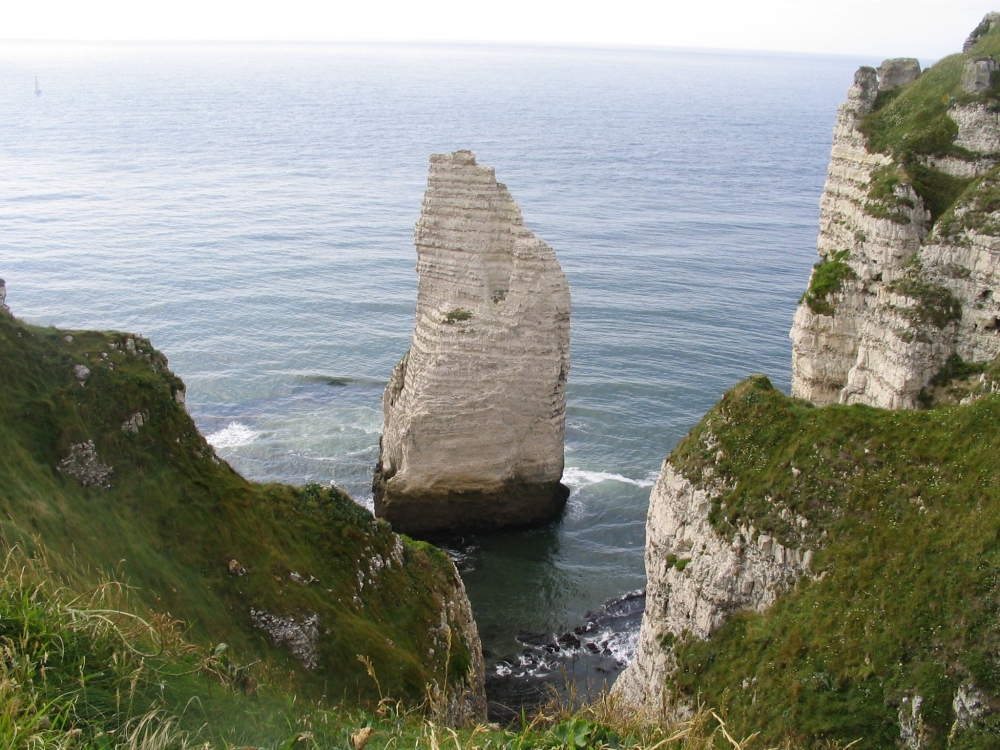Sileno uniflorae subsp. uniflorae - Festucion rubrae subsp. pruinosae