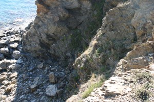 Armerietum ruscinonensis subsp. ruscinonensis