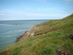 Sileno uniflorae subsp. uniflorae - Festucion rubrae subsp. pruinosae